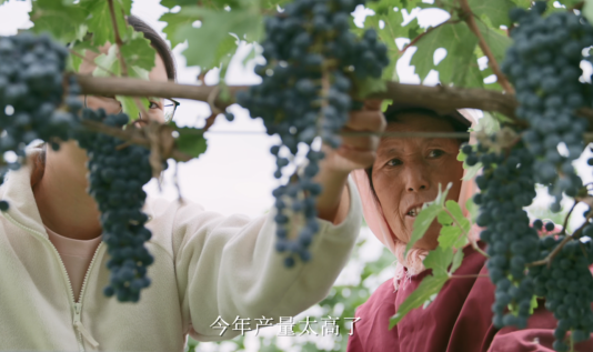 QQ20250722-105828.jpg