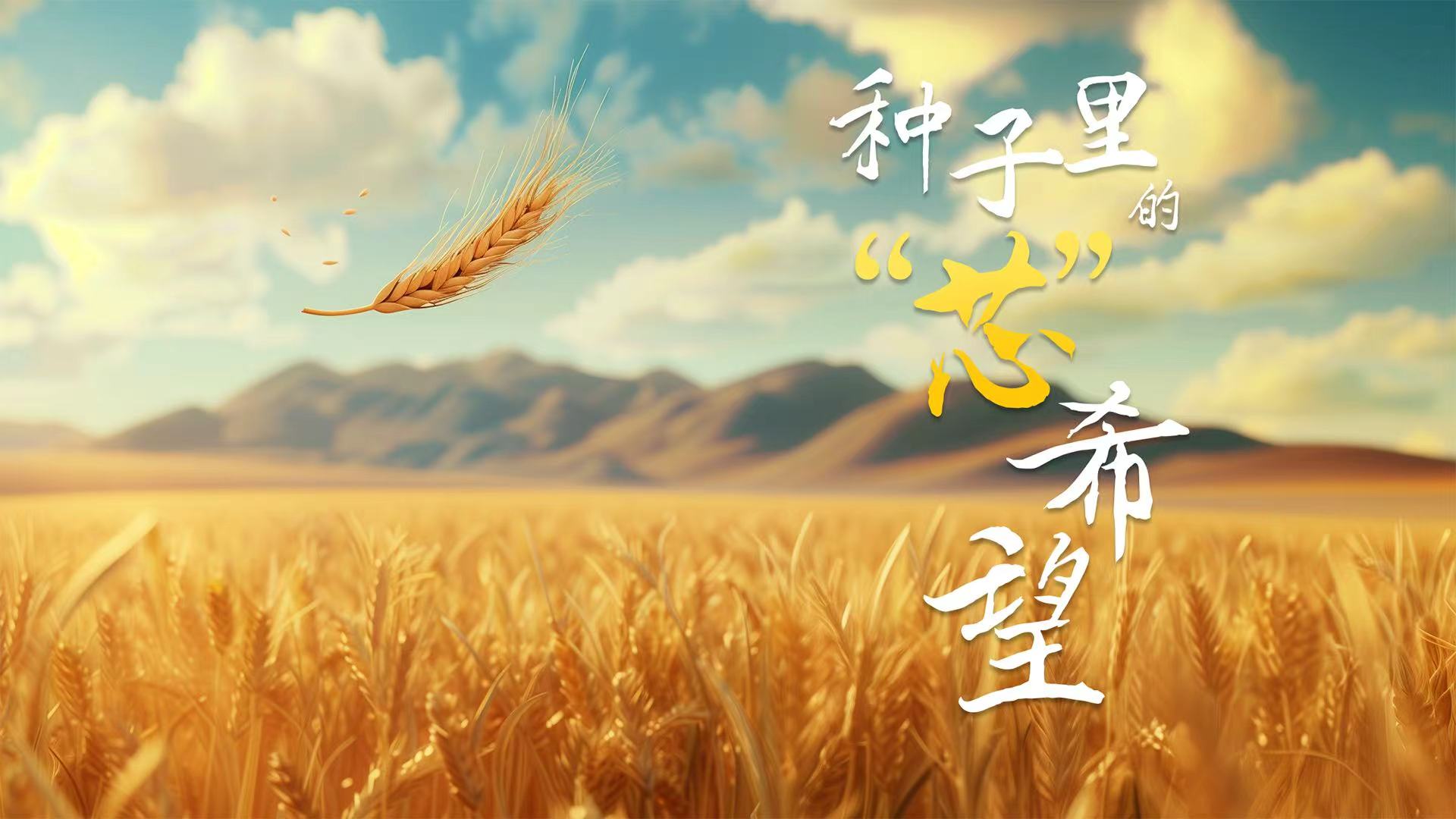 27.种子里的“芯”希望横.jpg