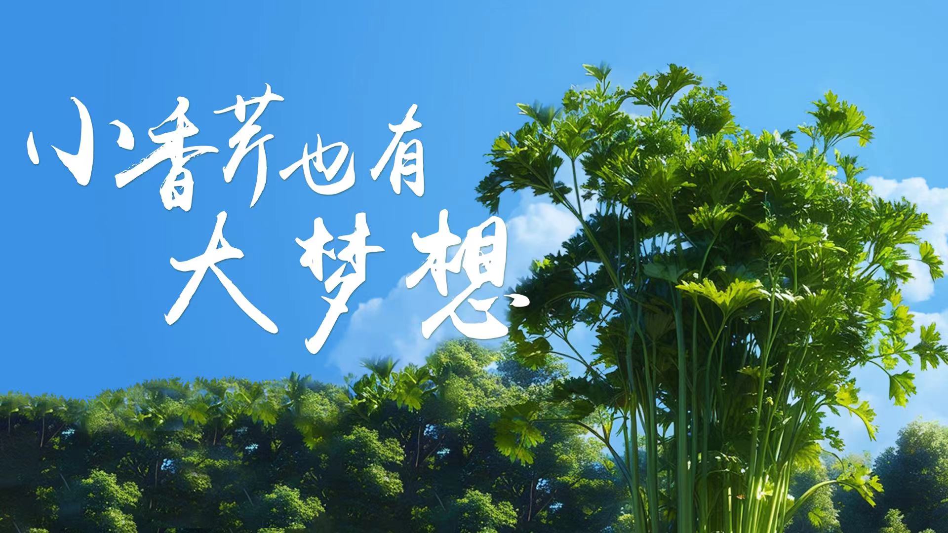 37.小香芹也有大梦想横.jpg