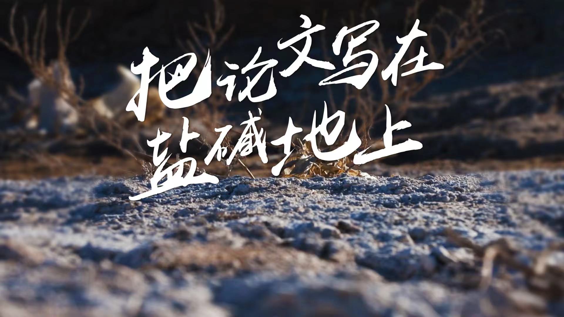 39.把论文写在盐碱地上横.jpg